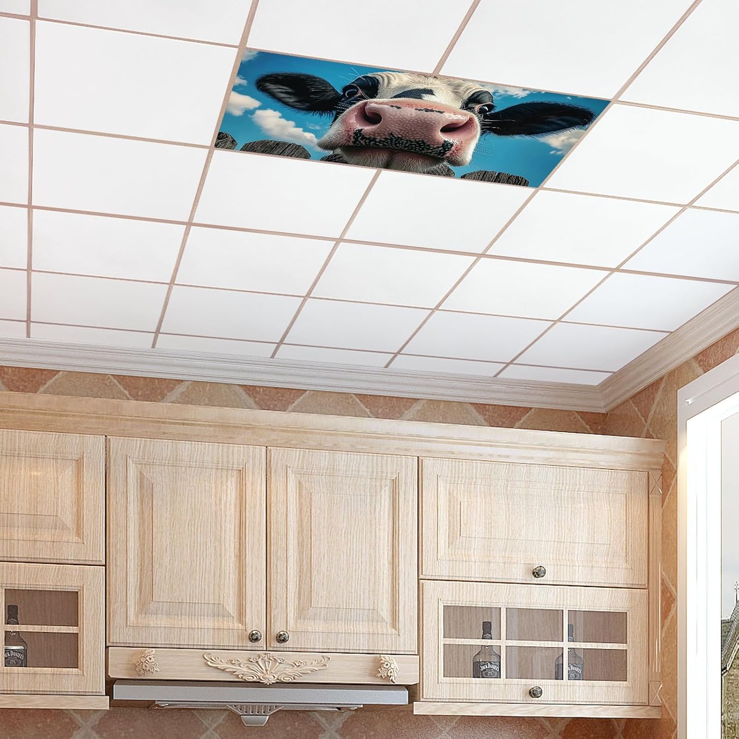 Fluorescent Light Covers for Classroom and Office - Eliminate Harsh Glare and Eye Strain. 2ft x 4ft LED Ceiling Light Decoration with Easy Installation A calf