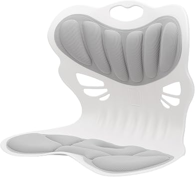 Lumbar Support Cushion, Grey, Premium Back Support for Home Office, Easy to Clean, Portable, 16.14x11.42x13.39 Inches