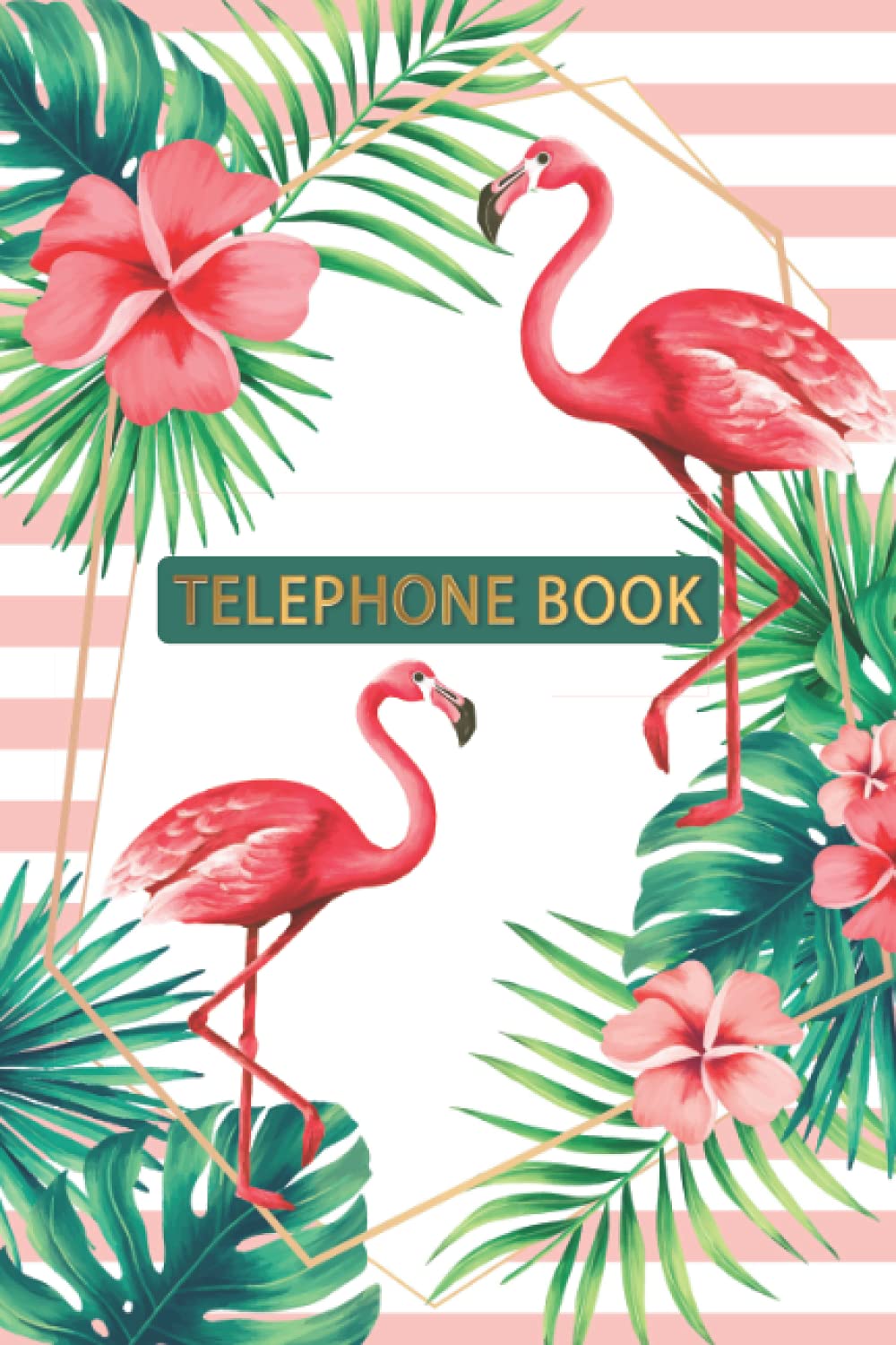 telephone books with alphabet index: telephone index book . telephone directory book . telephone number book . Alphabetical Organizer Journal Notebook for contact | size 6×9 in(ghkz9o)