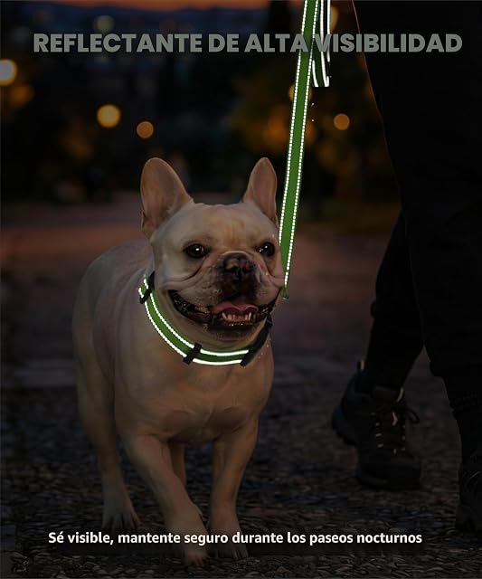 Foto 3 de 8 de TagME Collar Perro Ajustable,Collar Nylon Reflectante,para Caminar Correr Entrenamiento,para Perros…