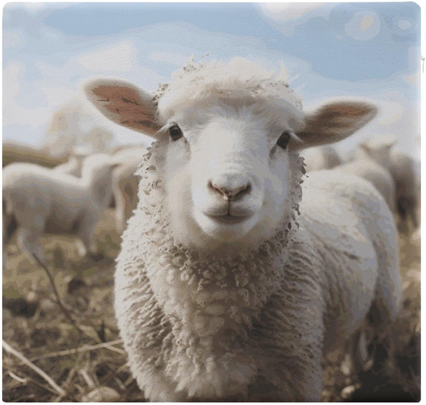 Cute Sheep Lamb Chair Cushion Floor Pillow Stool Cushion | Cushions with Removable Cover with Square Memory for for Chair Living Room Balcony Office Sofa,13.8*15*1.2 Inch