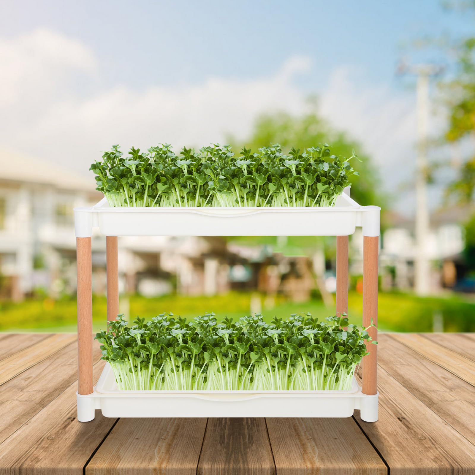 Beaupretty Keimschale Soillose Anzuchtplatte aus Dickem Pp Material Doppellagige mit Maschenlöchern für Microgreens und im und Esszimmer