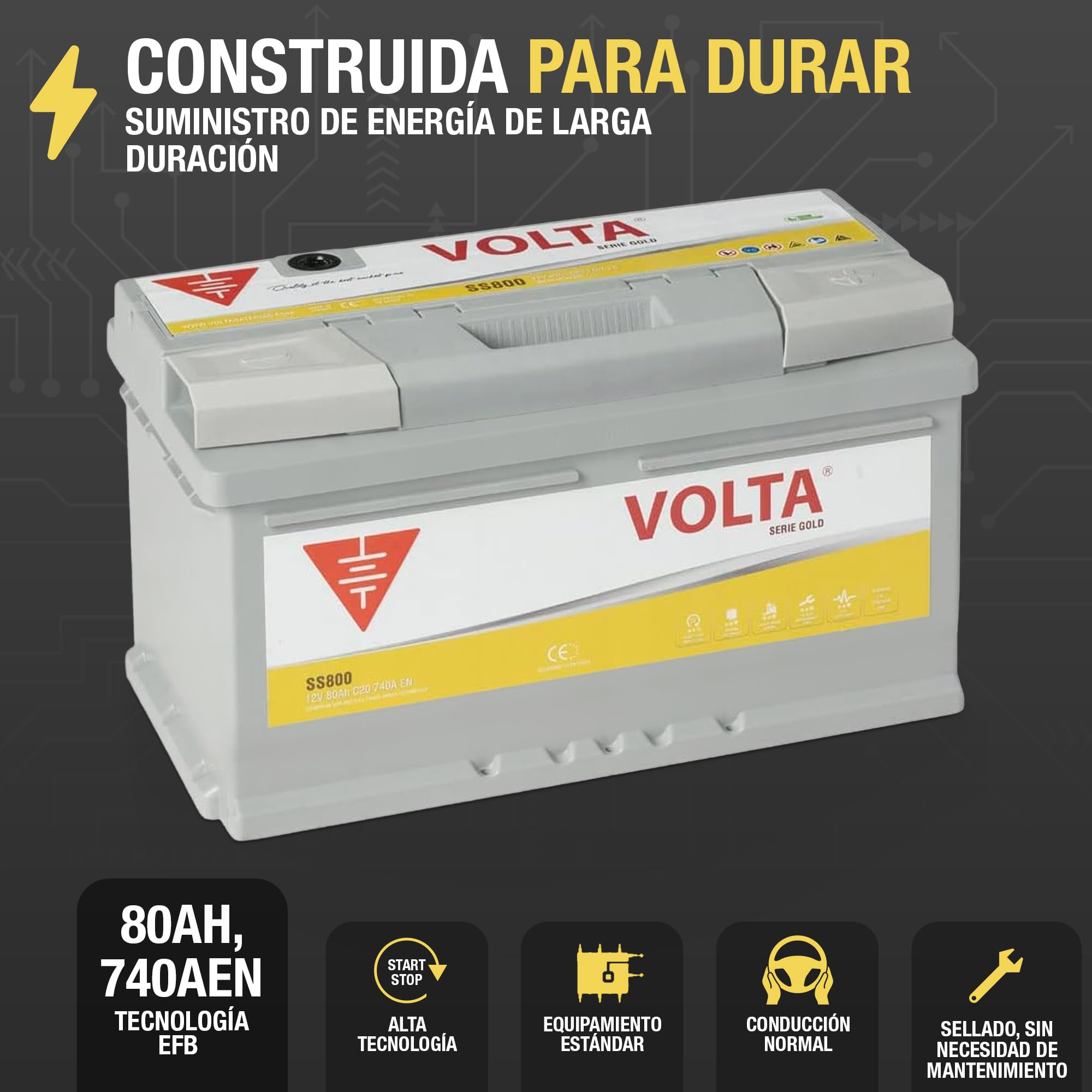 Bateria de Coche Gold 80Ah 740A Volta SS800D - Start Stop - Borne +Dcha - Medidas Largo 315 x Ancho 175 x Alto 175 mm con 2 años de Garantía - Fabricación Europea.