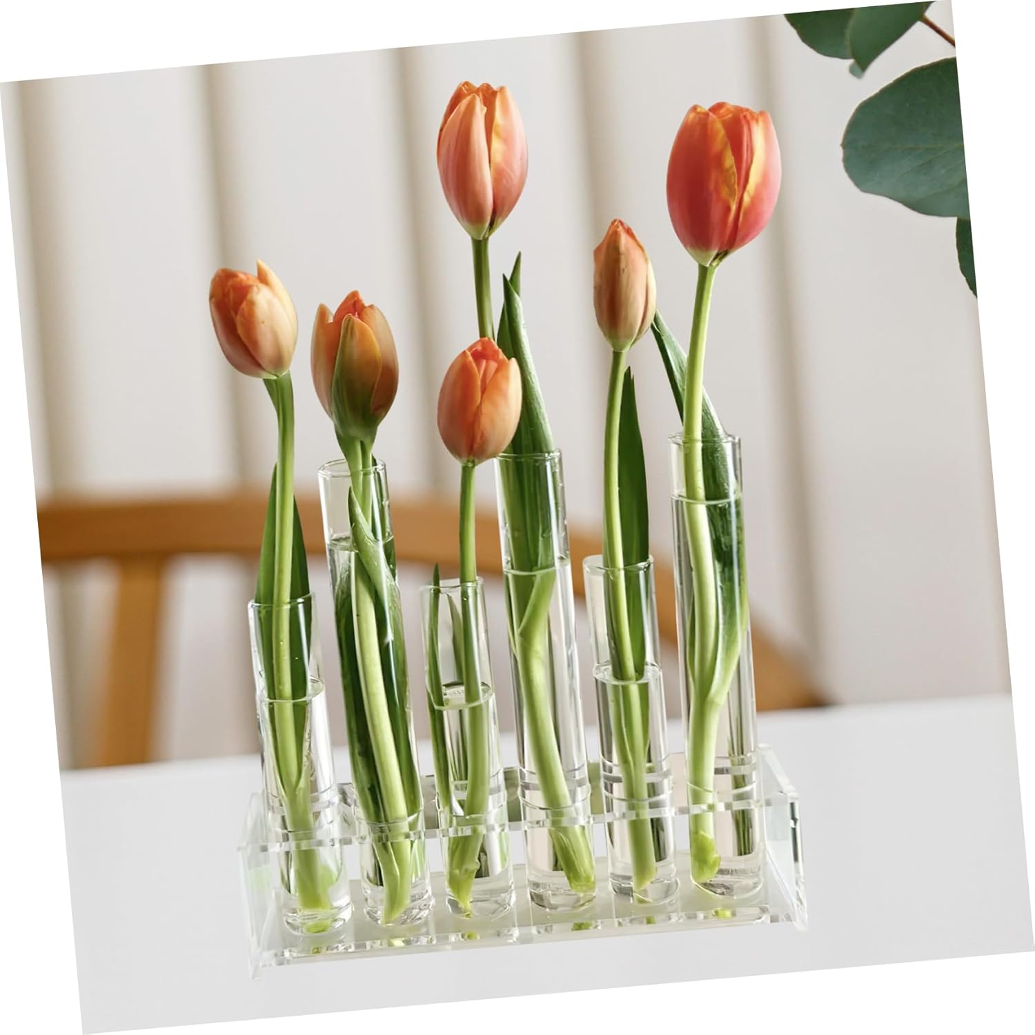 1 Set Clear Glass Test Tube Planter with Plastic Rack Hydroponic Propagation Station for Home Office Garden Wedding Decor Stylish Practical Plant Terrarium Display