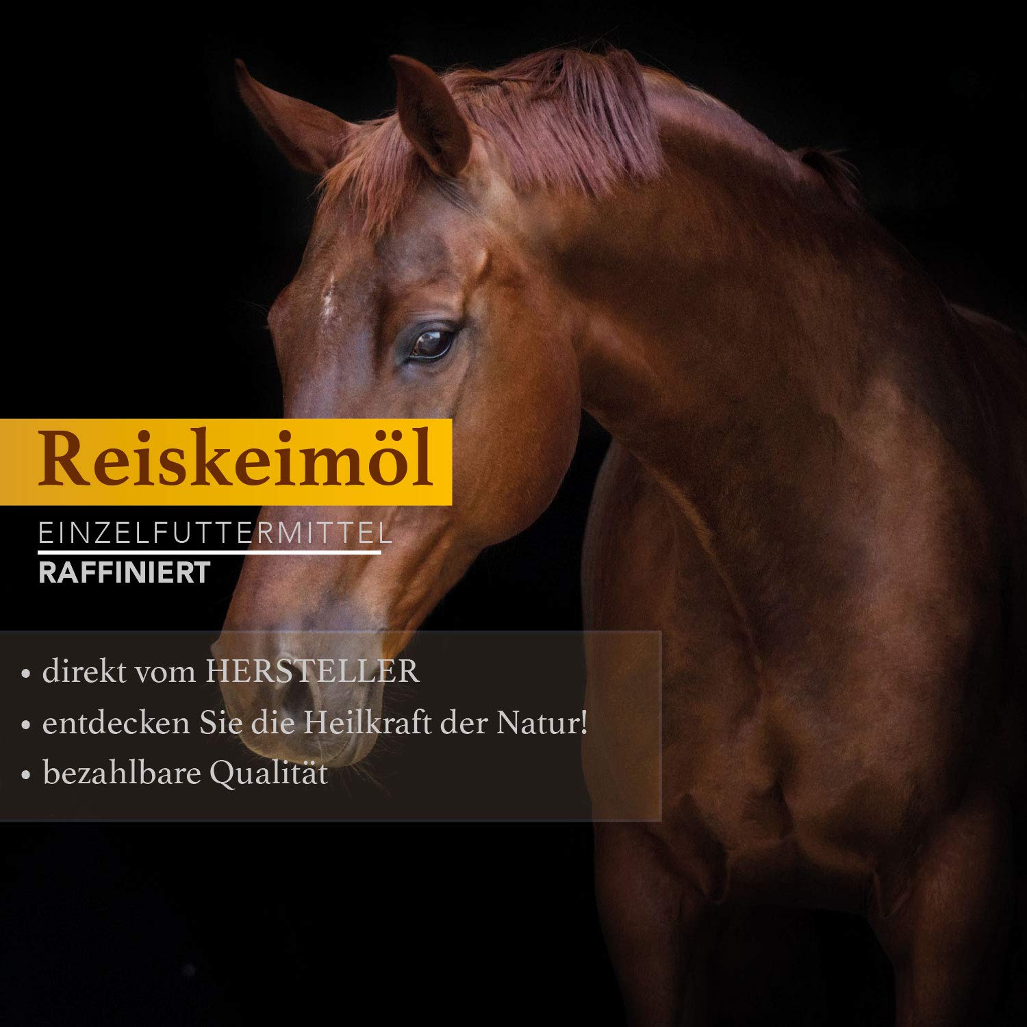 Naturzade Huile de germe de riz Aliment pour animaux de cheval Bidon de 5 l