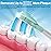 Aoremon Replacement Toothbrush Heads for Philips Sonicare C3 Premium Plaque Control HX9044/65 G3 Gum Care HX9054/65 W3 4100 5100 6100 7500 C1 C2 Flexcare Diamondclean HealthyWhite, 6 Count, White