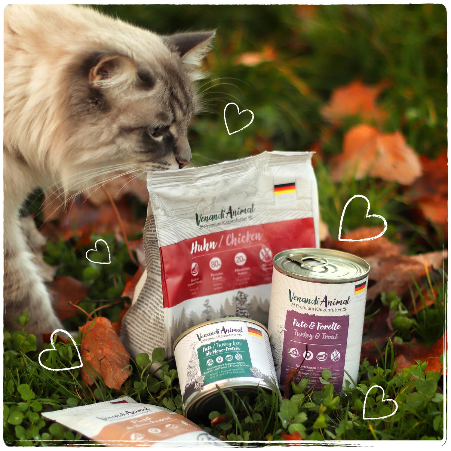 VenandiAnimal Comida de calidad para gatos - salmón, con pescado fresco, comida seca, sin cereales, 1 paquete (1 x 1,5 kg)