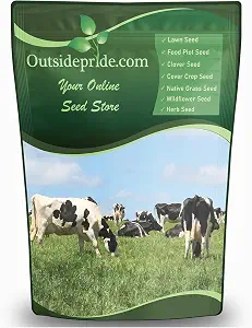 Outsidepride All-Purpose Pasture Seed Mix - 10 lb, Perennial, Drought-Tolerant & Fast-Growing Pasture Seeds for Grazing and Hay Production