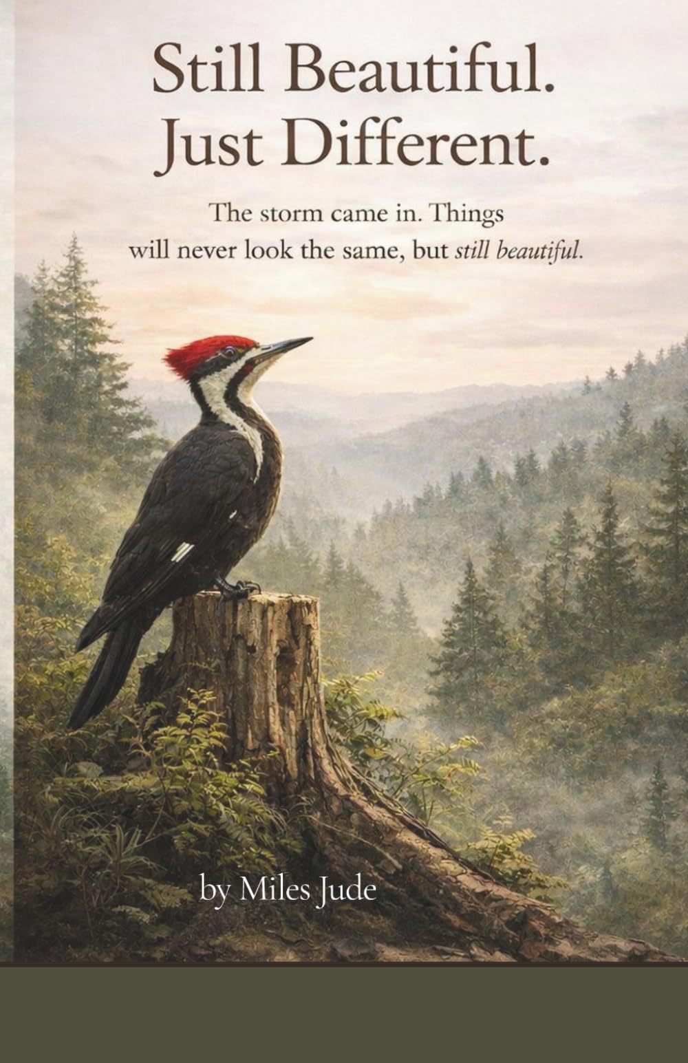 Still Beautiful. Just Different.: The storm came in. Things will never look the same, but still beautiful.