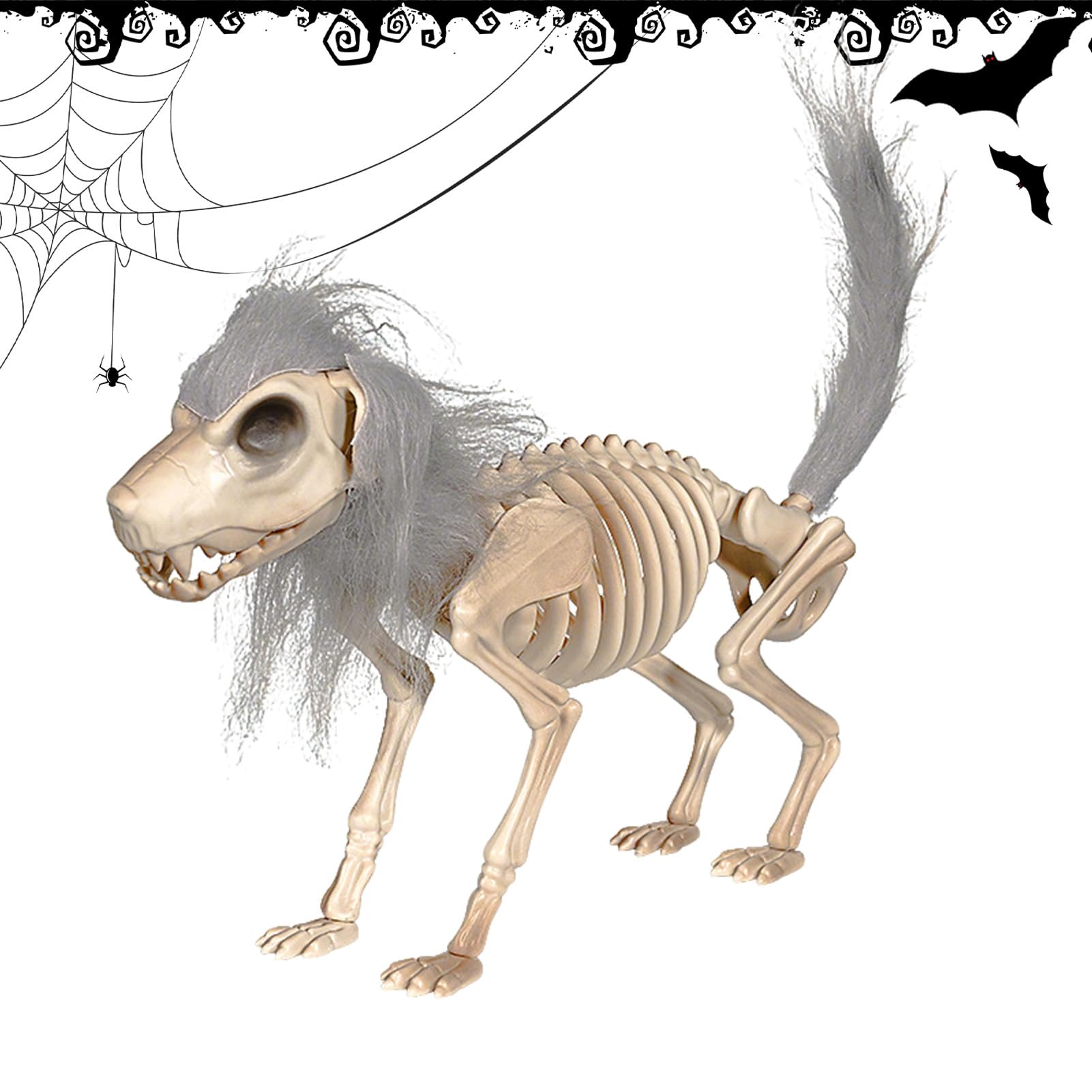 Crâne de chien grandeur nature squelette animal articulé pour décorer sans se ruiner