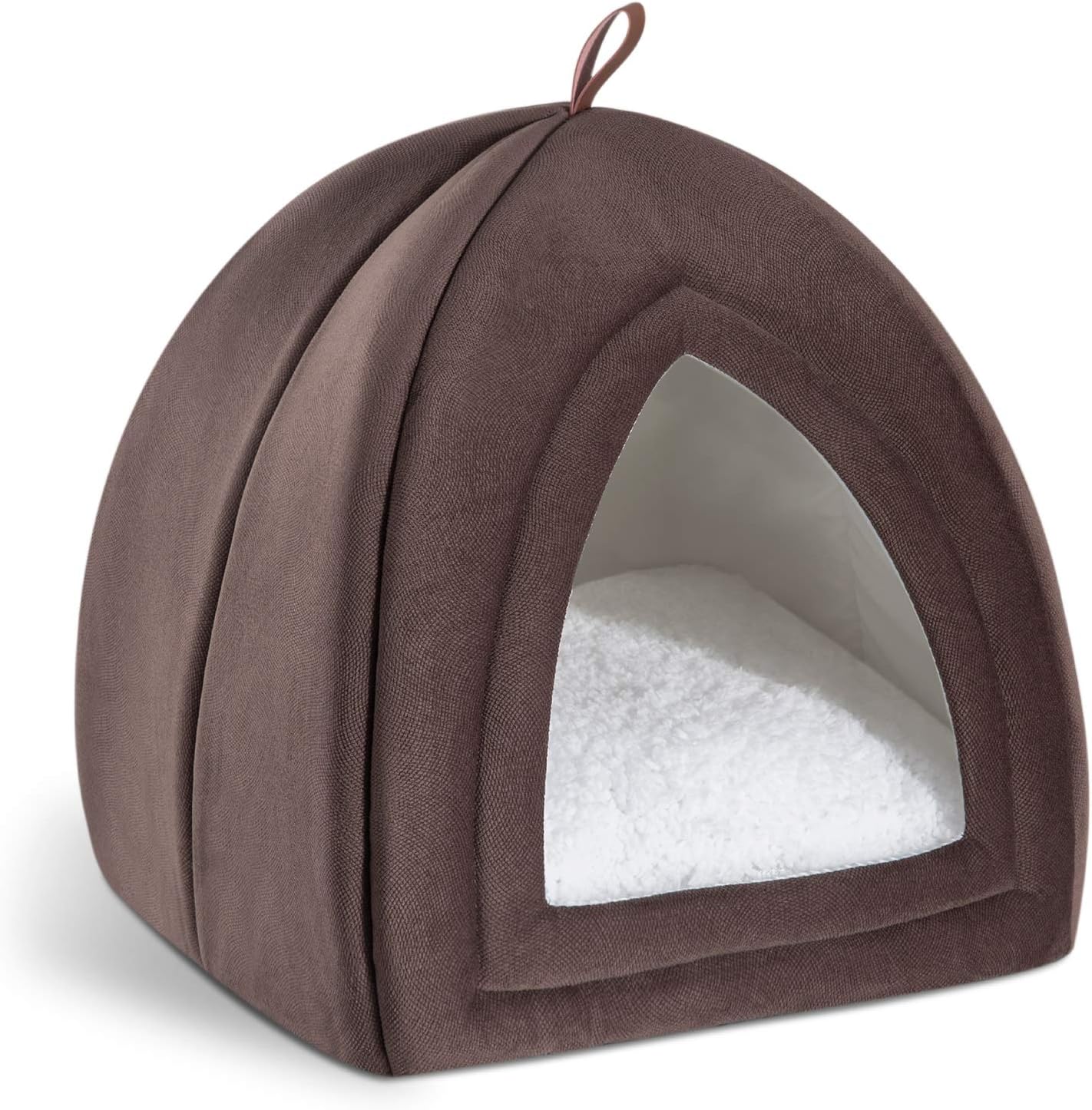 cat tent bed