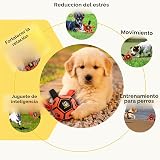 Ver la foto 6