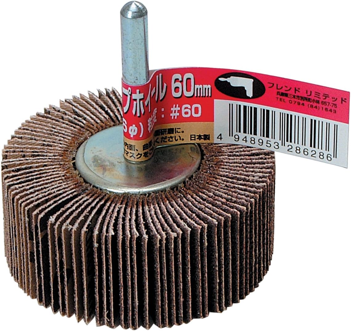 RELIFE 28628 Flap Wheel #60, Diameter 2.4 inches (60 mm), Pack of 12