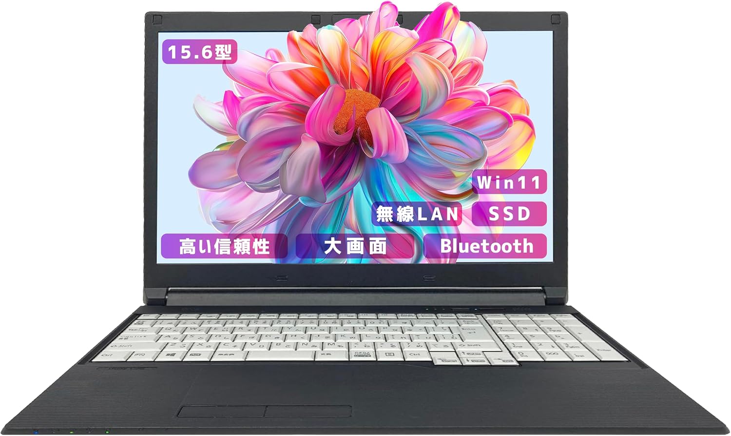 富士通 LIFEBOOK 8GB SSD ノート 15.6型 Win11 DVD-PaulSmith シープ