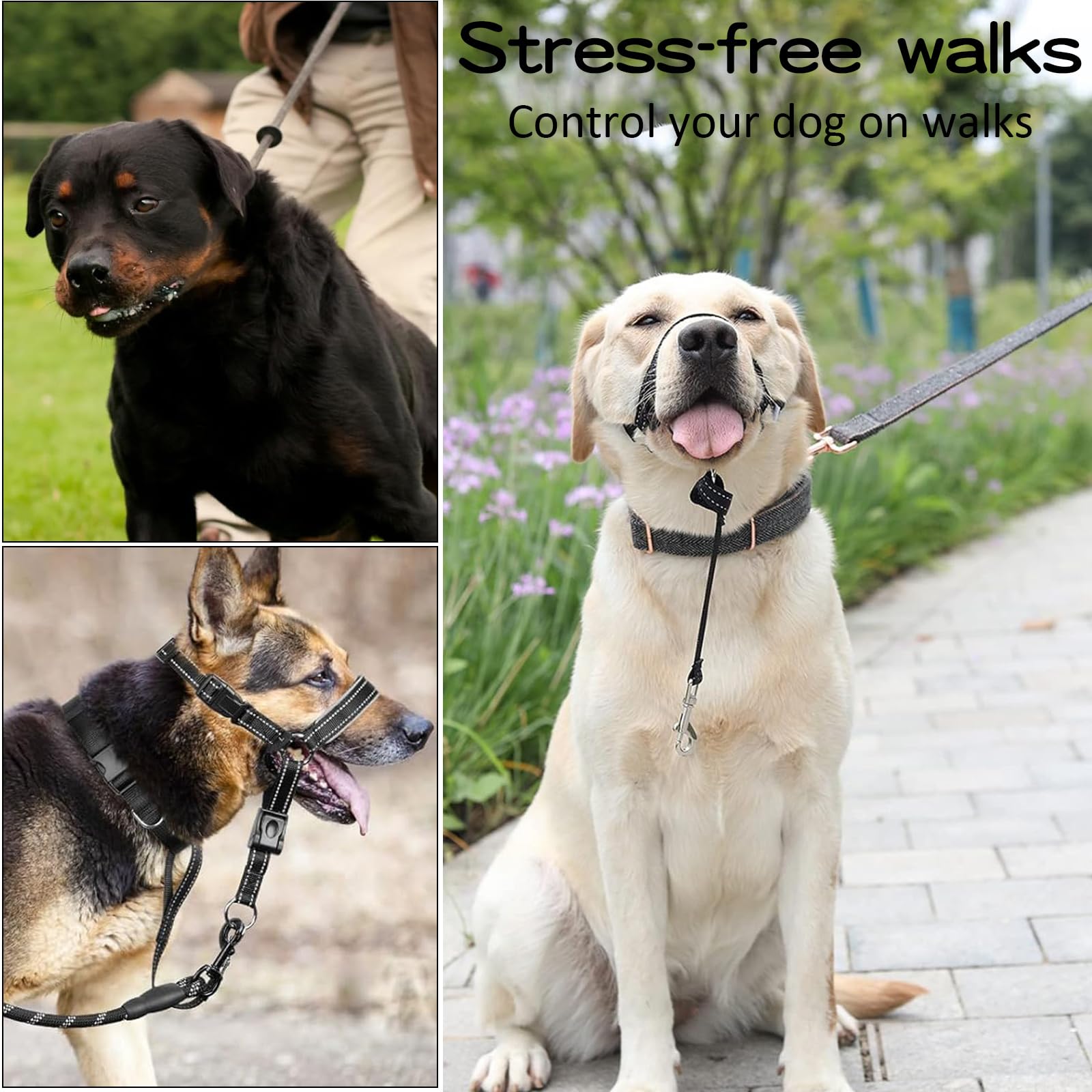 Museliere pour Chiens Grand/Moyen Collier de Dressage pour Chien Sangles Réglables Pet Corrector Boucle de Dégagement Musoliaire Chien Respirant pour Entraînement Quotidien Voyage