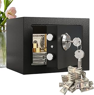 Sicherheitstresor - Stahl Sicherheitsbox Für Bargeld Und Wertsachen | Feuerfeste Geldkassette Tragbar für Wertgegenstände Dokumente Münzen Haushalt Reise Hotel