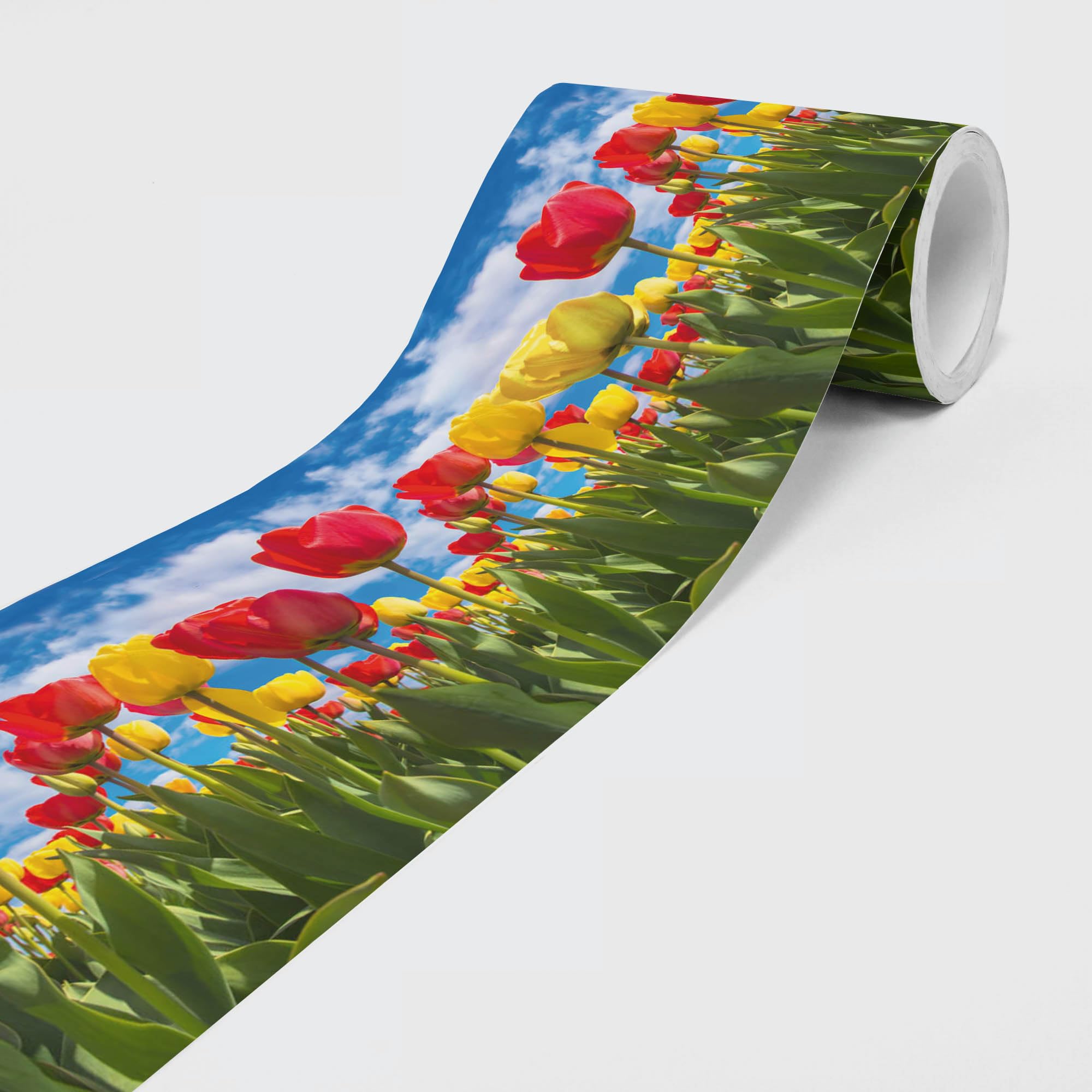 Dimex Red and Yellow Tulips Self Adhesive Wallpaper Border Smooth Non-woven Flower Style 5m x 15cm