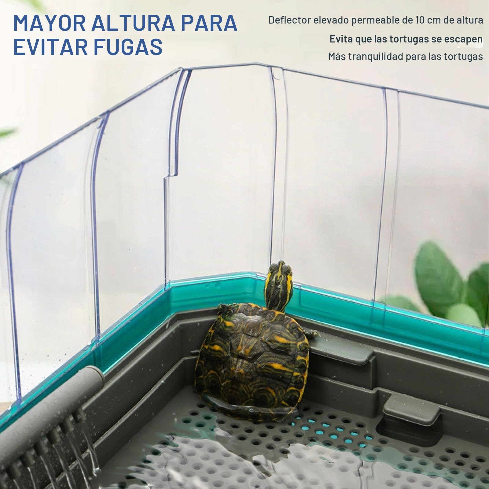 Terrario Tortugas de Tierra | Terrario Reptiles y Anfibios | Acuario Tortuga Set Completo con Filtro de Agua para Ducha | Tanque para Hibernación de Tortugas | Fácil de Cambiar y Limpiar(Green Without
