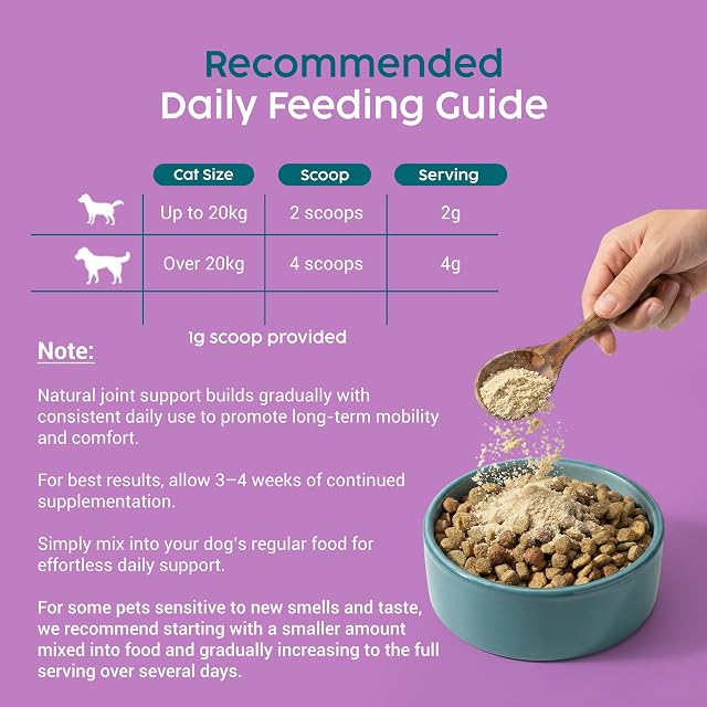 Foto 7 de 8 de Zanipro Cúrcuma en Polvo para Perros (100 g): suplemento Natural para la Cadera y Las articulaciones…