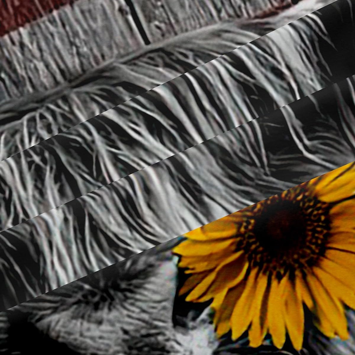 Feelyou Highland Cattle Window Curtains Bedroom Living Room Sunflower Highland Cow Curtains Kids Room Decor Boys Girls America Flag Bull Window Drapes Animal Window Treatments 38W X 45L，2 Panels