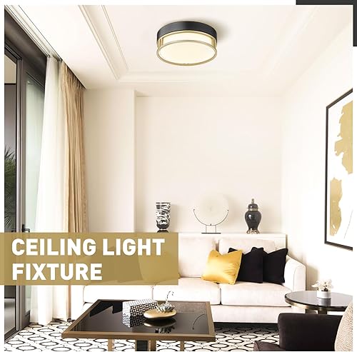 Miniatura 4 de zeyu ZS76F BK+AG - Lámpara de techo empotrada de 1 luz, moderna de 10 pulgadas, para dormitorio, pasillo, pasillo, pantalla de vidrio esmerilado