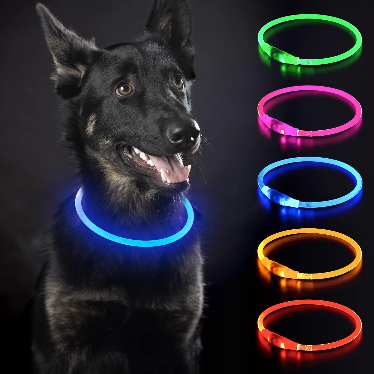 iTayga Collar Luminoso LED Perro Recarable Collares Luminosos para Perros 5 Colores Haga Que su Perro Sea Muy Visible en la Oscuridad, Collar con Luz Perro Pequeño,Mediano,Grande. Azul