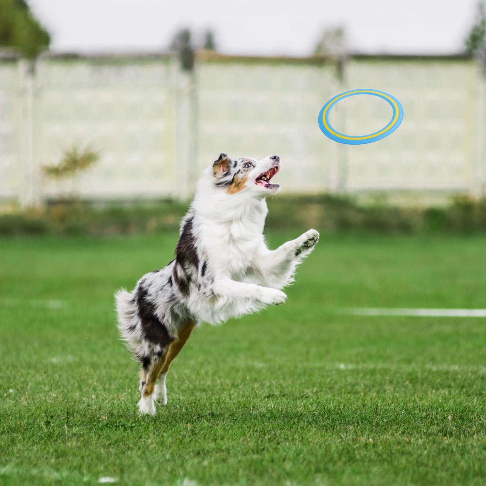 Lot de 3 anneaux frisbee - 24 cm - Pour enfants et adultes - Jouet de jeu d'extérieur pour enfants - Pour l'extérieur, aire de jeux scolaire, parc, piscine