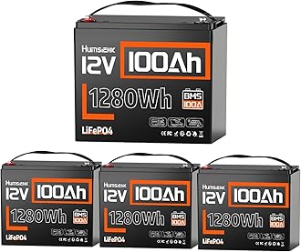 - HumsiENK 12V 100Ah LiFePO4 Battery Lithium Built In 100A Smart BMS Portable Group 24 Size Lithium 1280Wh Battery 15000 Deep Cycles 10 Years Lifespan for RV Solar Energy Off Grid Trolling Motor (4PACK)