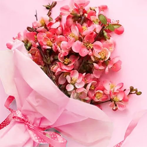Miniatura 4 de 40 hojas de papel de seda rosa para bolsas de regalo, día de San Valentín, bodas, cumpleaños, decoración de otoño, girasol, manualidades, embalaje,