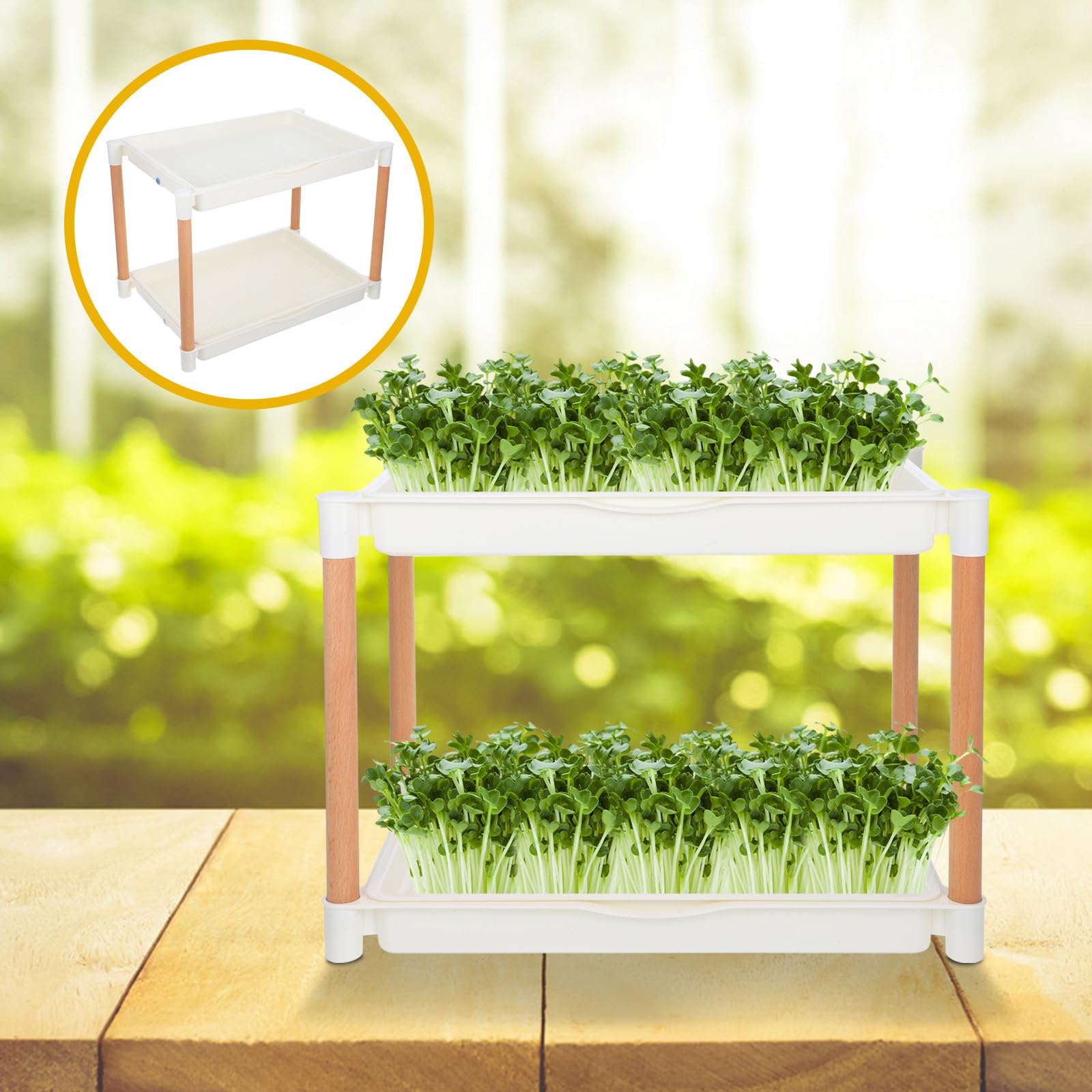 Beaupretty Keimschale Soillose Anzuchtplatte aus Dickem Pp Material Doppellagige mit Maschenlöchern für Microgreens und im und Esszimmer
