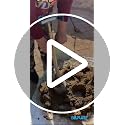 Image of Stainless Steel Cow Dung Cake Maker - Manual Gobar Upla Making Machine | Heavy Duty Cow Dung Compression Tool for Uniform Fuel Cakes | Durable Rural & Farm Use Equipment