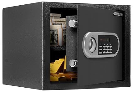 Digital Small Safe caja fuerte Security Money Safes Electronic Lock Safes 0.5 Cuft Lock Box with Keypad for Cash Jewelry Home, Hotel, Dorm, Office,(0.5cuft Black)