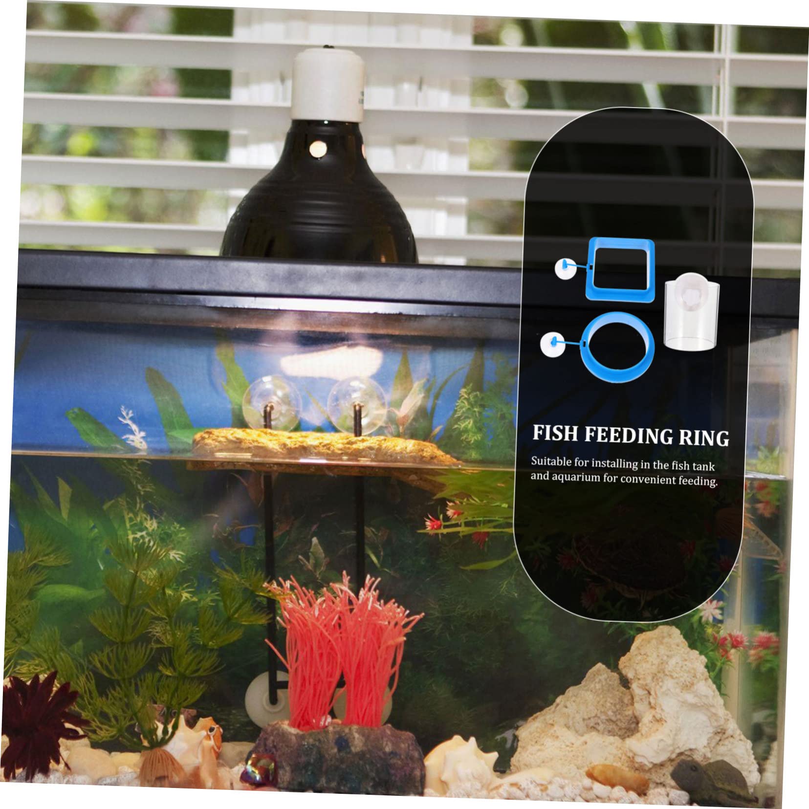 COLLBATH Portable Fish Feeder Ring Small Aquarium Ring Plastic Aquarium Circle Betta Fish Tank Accessories