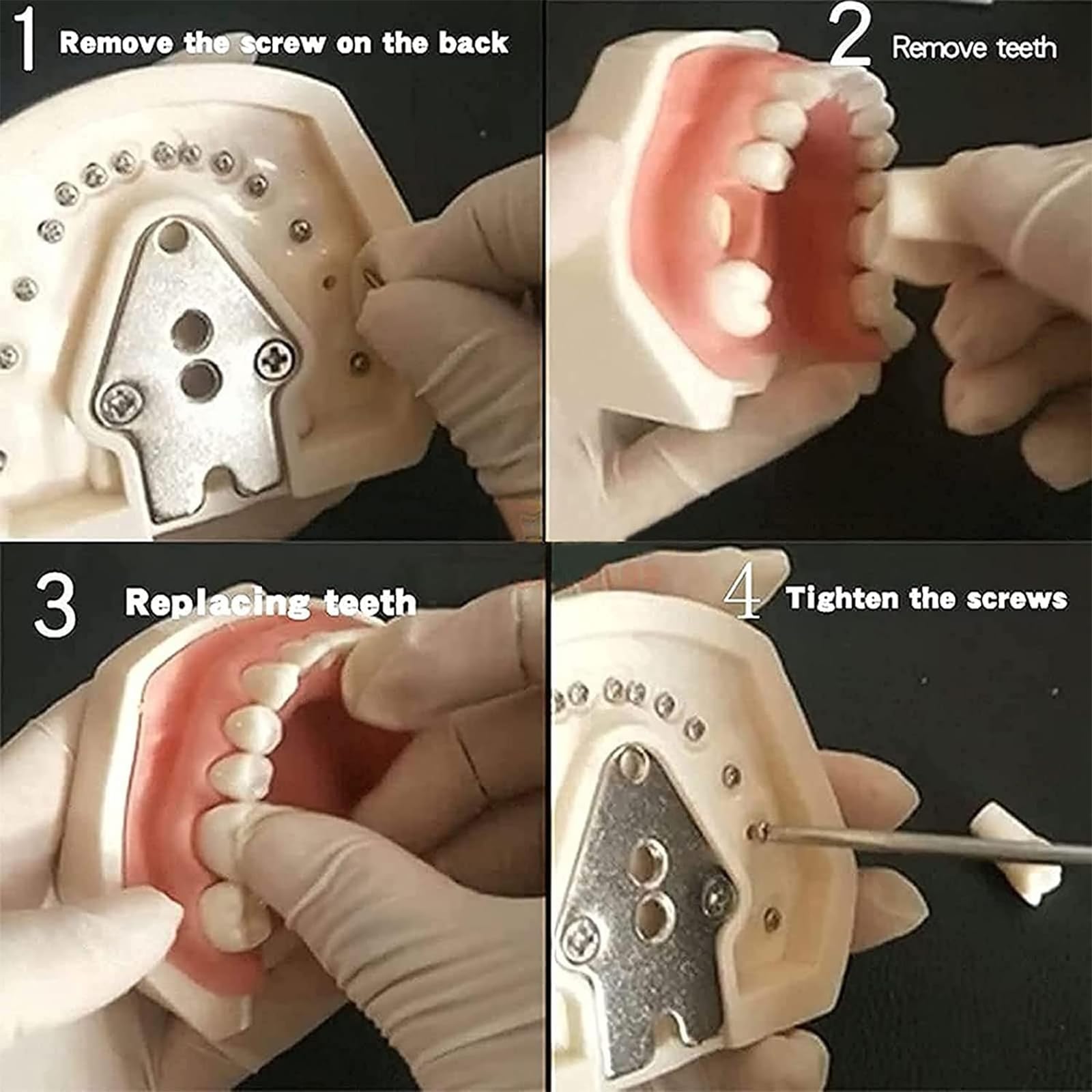 Dental Oral Simulation Practice, Abnehmbare Zähne Dentalmodell Mit Basishalterungsdesign, 360° Verstellbarer Kopfwinkel, Zähne Können Bewegt Und Entleert Werden, 1:1 Hohe Simulation