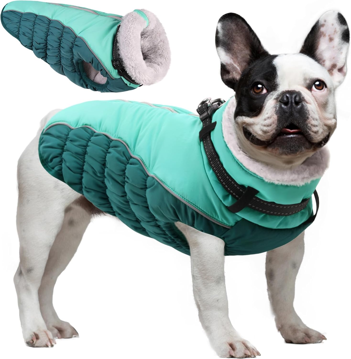 Lelepet Hundemantel Orange - Wasserdicht & Reflektierend Für Kleine Bis Große Hunde