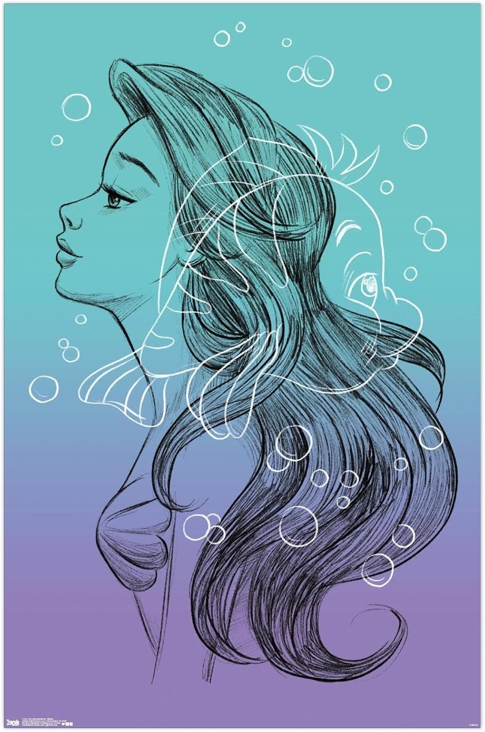 Trends International Disney The Little Mermaid - Sketch Wall Poster, 22.375" x 34", Print and Beechwood Hanger Bundle