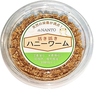 ヘビトンボ幼虫（水生生き餌）