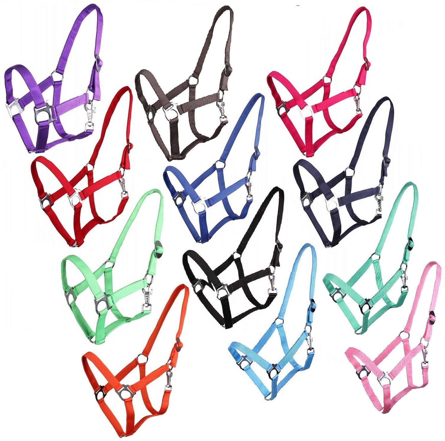 NETPROSHOP Halfter oder Führstrick Einfarbig für Ihre Lieblinge Mini Shetty bis XL Full, Groesse:Pony, Farbe:Dunkelblau
