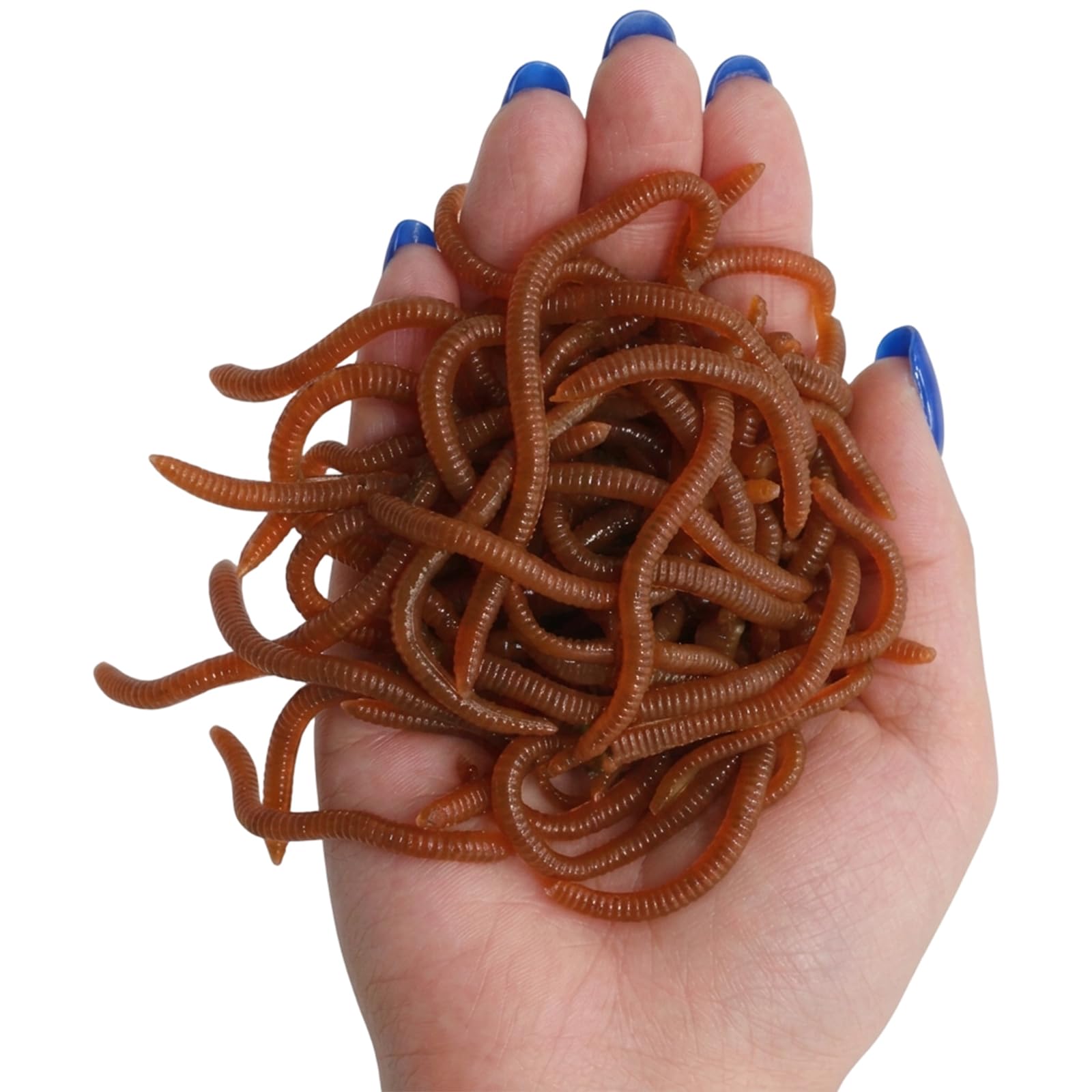 100 Pcs Fake Worms, Realistic Fishing Bait, Worm Set for Adult Pranks, Halloween Decorations and Angling Applications