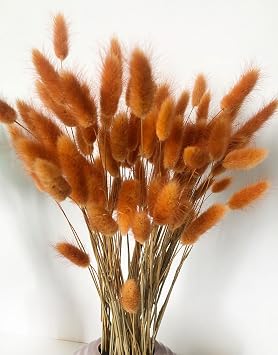 110 Stems Bunny Tails Dried Flowers, Mini Pampas Grass, for Cute Boho Home Kitchen Decor, 17 inch Lagurus Ovatus for Wedding Party Decor, Autumn Color