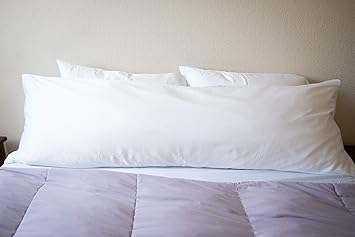 pillowtex down pillows