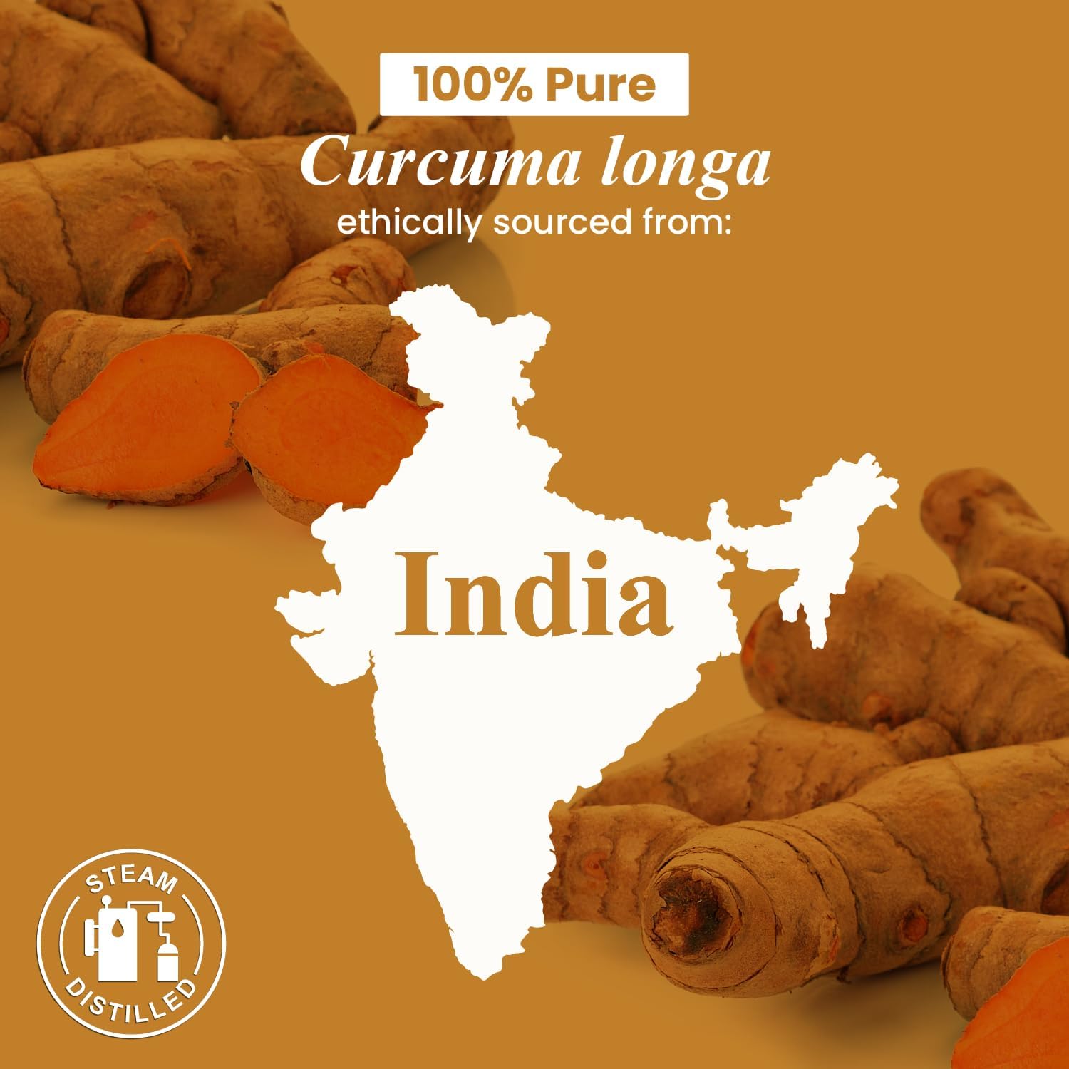 Handcraft Blends Turmeric Essential Oil – Huge 4 Fl Oz – 100% Pure and Natural – Premium Grade Essential Oil for Diffuser and Aromatherapy, Skin, Massage, Candle and Soap Making Fragrance - Image 8