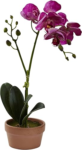 Miniatura 4 de Nearly Natural Orquídea Phalaenopsis con jarrón de arcilla (juego de 4)
