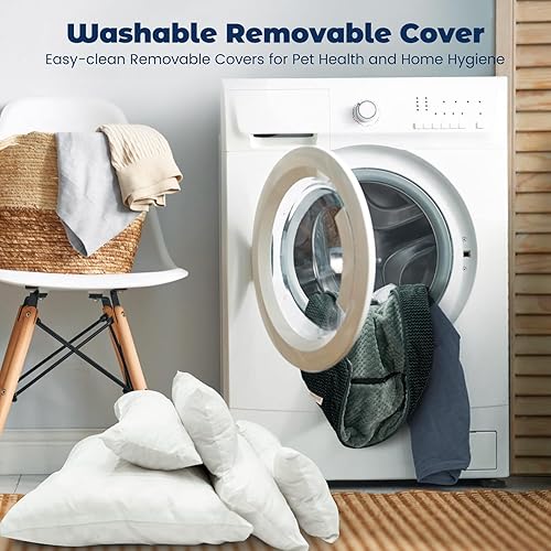 Miniatura 2 de Miguel Cama para gatos de interior con funda extraíble lavable, cama pequeña para mascotas con cama lateral cuadrada para perro, cama rectangular