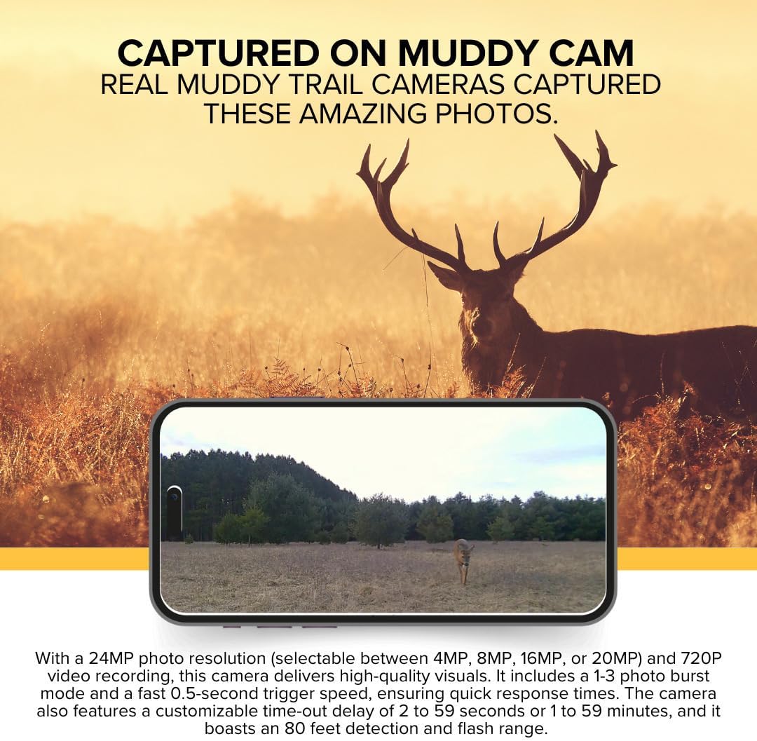 Example of photos captured by MUDDY trail camera