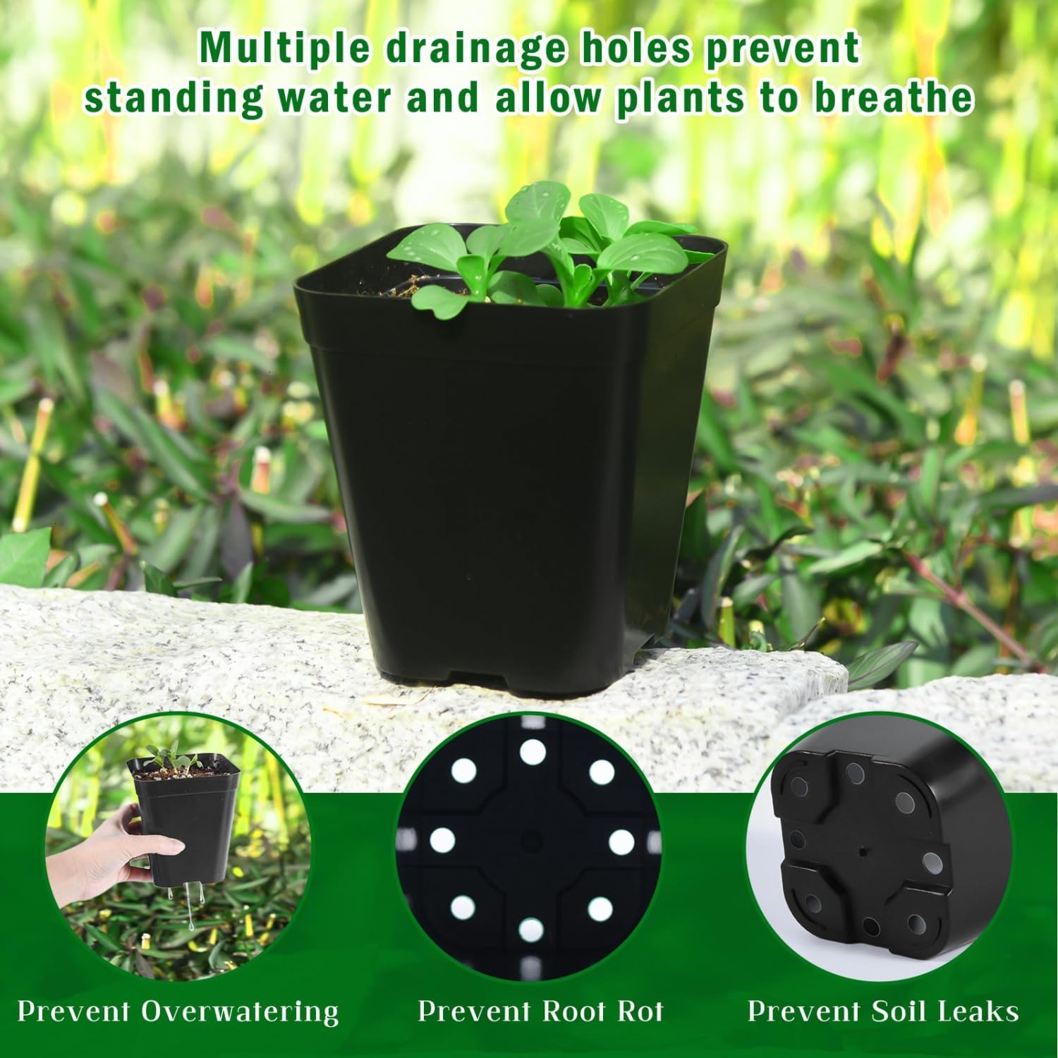 June Fox Small Seedling Pots 4 Inch, 100 Pcs Square Plant Pots Bulk, Plastic Nursery Pots with Drain Holes for Seedlings, Succulents, Cuttings (Black)