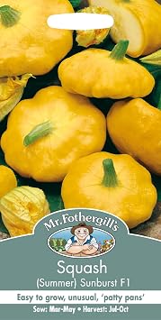 Mr Fothergill's 12760 Vegetable Seeds, Squash Summer Sunburst F1, Yellow