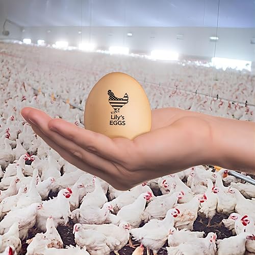 Miniatura 7 de Sellos de huevos personalizados para huevos frescos, sello de pollo de goma pertsonalizado con tu propio diseño, marcado para huevos frescos de