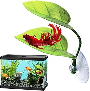 Aquário Betta Folha - folha Betta com ventosa transparente - Repouso Criação Campo para Peixe Betta Peixe Betta Local Descanso Prático Confortável e Seguro Riastvy