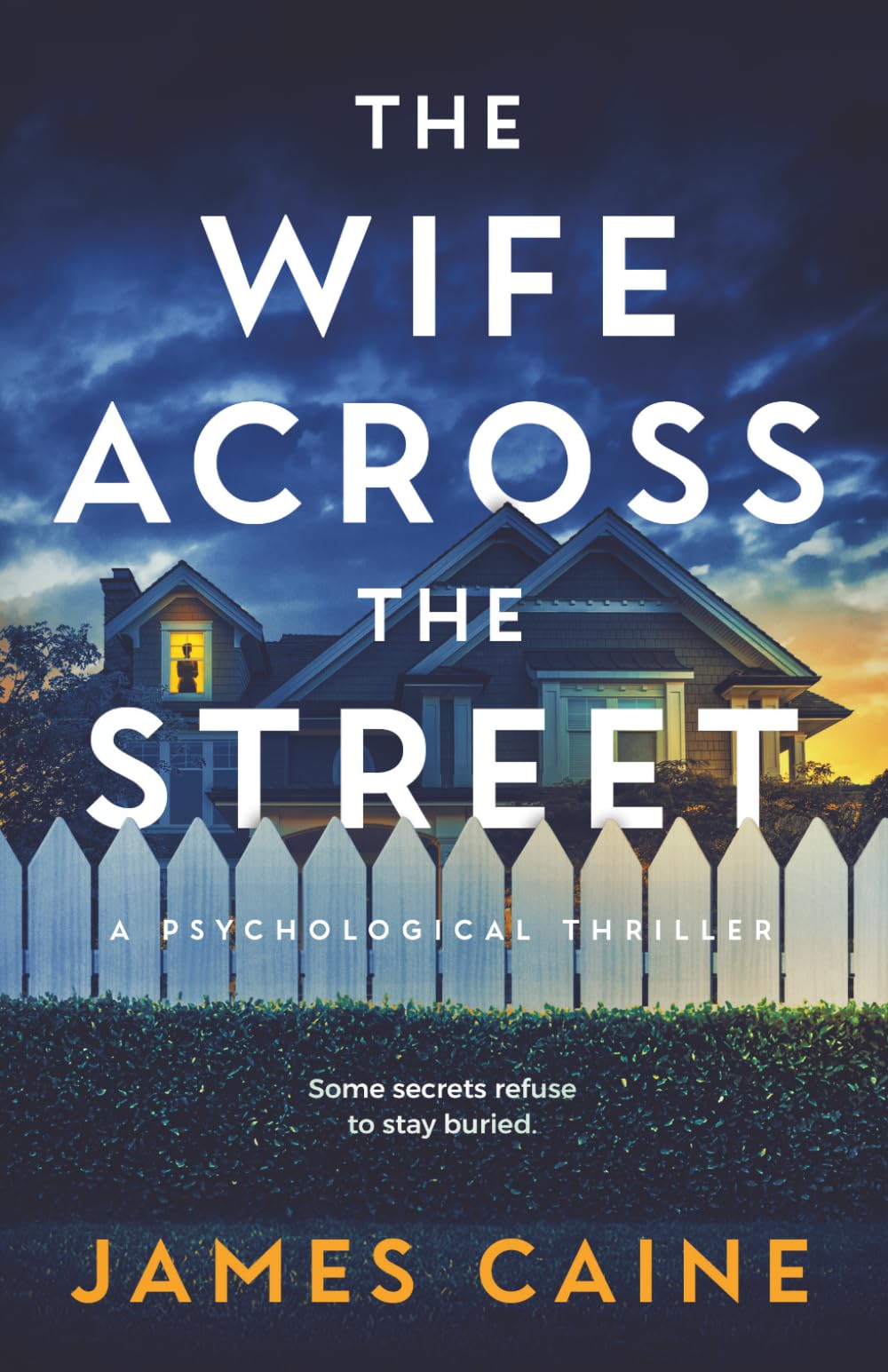 The Wife Across the Street: A Psychological Thriller